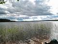 Земельный участок для коттеджной застройки площадью 2,2 Га, со своей береговой линией, на озере Сайма (Пюювеси). Финляндия