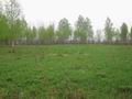 Земельный участок площадью 9 Га, расположенный в 500 метрах от деревни Стрешнево. 