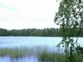 Земельный участок, площадью 1,66 Га, на берегу озера в Хямеенлинна. Финляндия