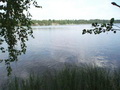 3 участка, площадью по 1 га, на берегу озера Pihlajavesi, входящего в систему озёр  Saimaa. Финляндия