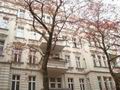 Шестикомнатная квартира, жилой площадью 220 кв.м., в центре Берлина, на улице Курфюрстен Дамм. Германия
