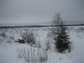 Массив земельных участков от 15 до 26 Га вблизи поселка Даймище Гатчинского района Ленинградской области 