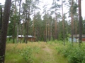 Земельный участок площадью 12 соток в поселке Сосново Приозерского района Ленинградской области 