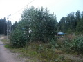 Земельный участок, площадью 25 соток (ИЖС), рядом с Финским заливом, в деревне Шепелево. 