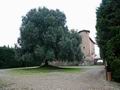 Ферма, производящая вино и оливковое масло, со старинным замком, на площади 60 га, рядом с Флоренцией, в Чертальдо. Италия