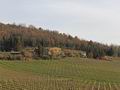 Действующее агрохозяйство, с производством вина, расположенное к северу от Монтальчино. Италия