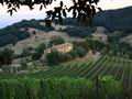 Действующее агрохозяйство, с виноградниками и производством вина, расположенное в юго-восточной части Монтальчино. Италия