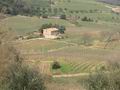 Действующая винная ферма, на участке площадью 6 га, в Монтальчино. Италия