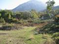 Большой земельный участок, площадью 1420 кв.м., с видом на море, в Старом Баре.  Черногория