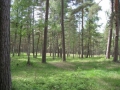 Продается земельный участок площадью 2600 кв. м., округ Carnikavas Латвия