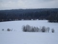 3 земельных участка по 7,8 Га каждый в 4 км от Таллинского шоссе, рядом с деревней Шелково Волосовского района Ленинградской области 