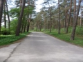 Продается земельный участок площадью 1200 кв. м., округ Babītes Латвия