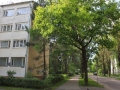 Продается квартира площадью 66 кв. м., улица Jelgavas, Jūrmala Латвия