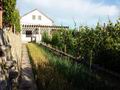 Имение с трехэтажным домом, площадью 300 кв.м., виноградником и видом на море, в Илино (Бар).  Черногория
